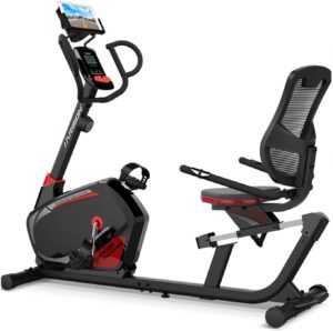 HARISON Magnetic Recumbent Bike