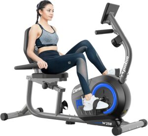 pooboo Recumbent Exercise Bike 