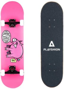 Playshion Complete Skateboard for Kids and Beginners